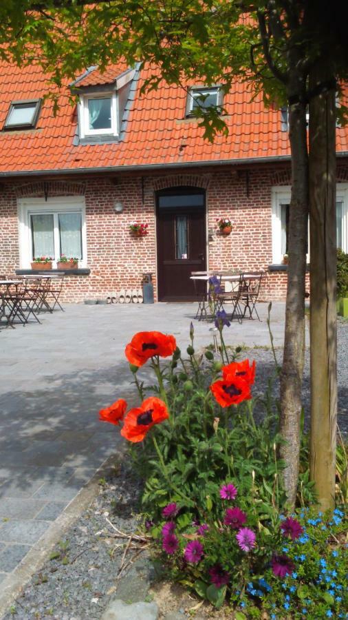La Ferme De La Papote Bed & Breakfast Morbecque Exterior photo